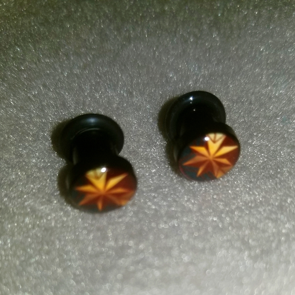 Gauge Earrings 10$